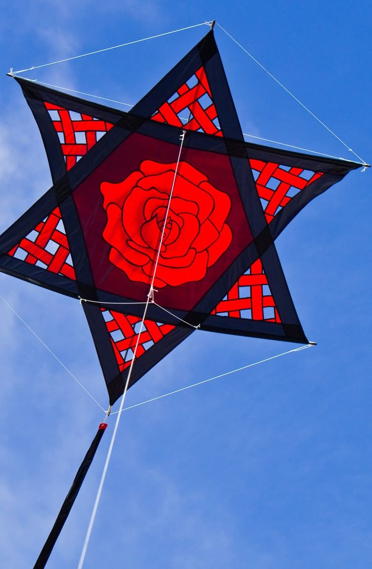 Large premium kite
